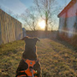 Meet your Posher, Adam